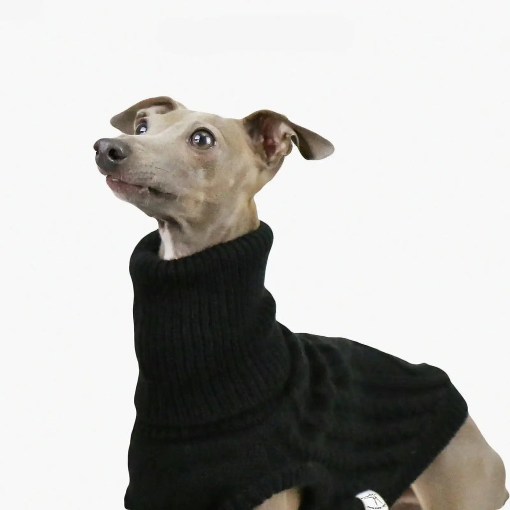 Pull Col Haut En Laine Douce Pour Whippet Et Lévrier