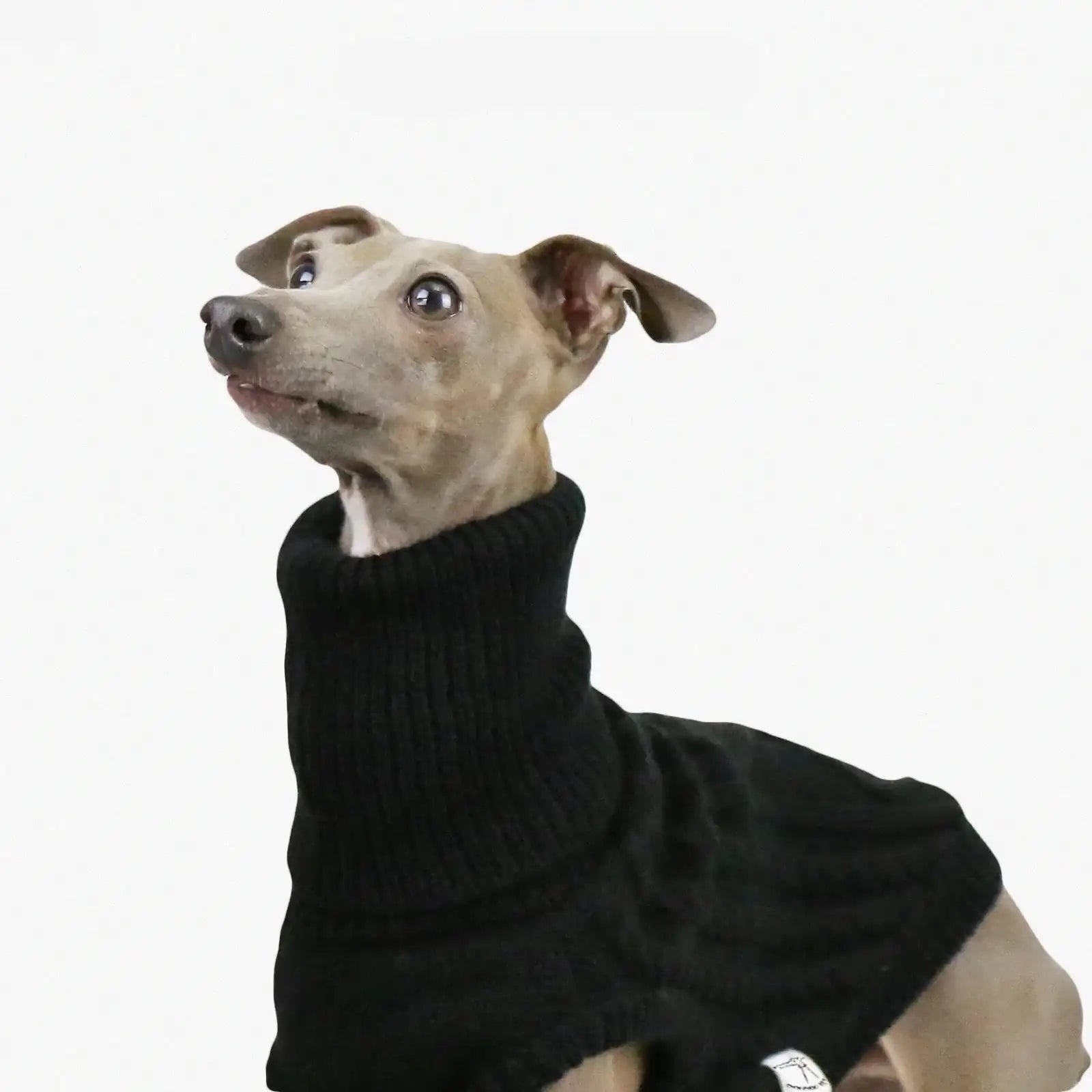 Pull Col Haut En Laine Douce Pour Whippet Et Lévrier