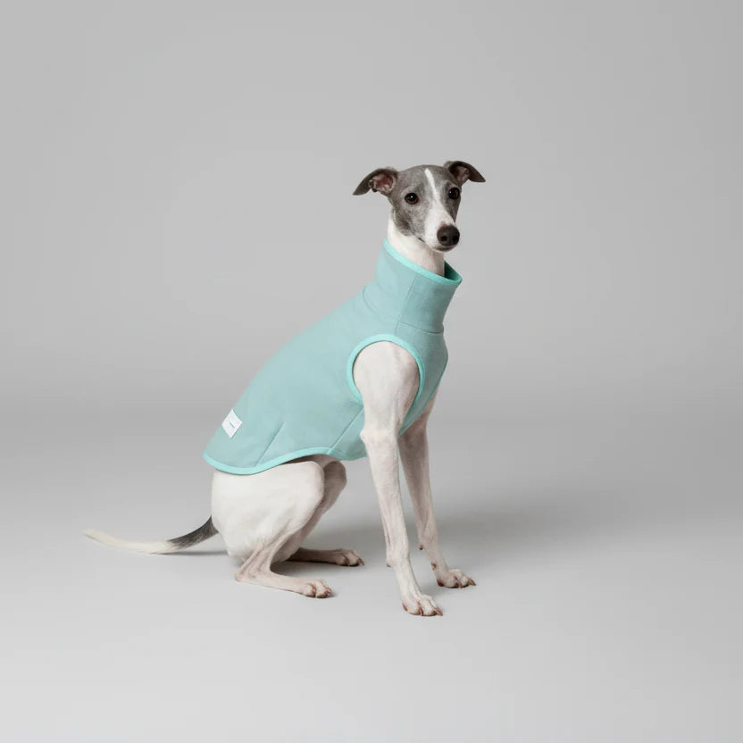 Pull Élégant Pour Lévrier Italien Et Whippet Chaud - Les Bonnes Affaires