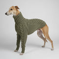 Pull pour lévrier col roulé en maille épaisse couleur kaki pour chien élégant Oscar et Plume