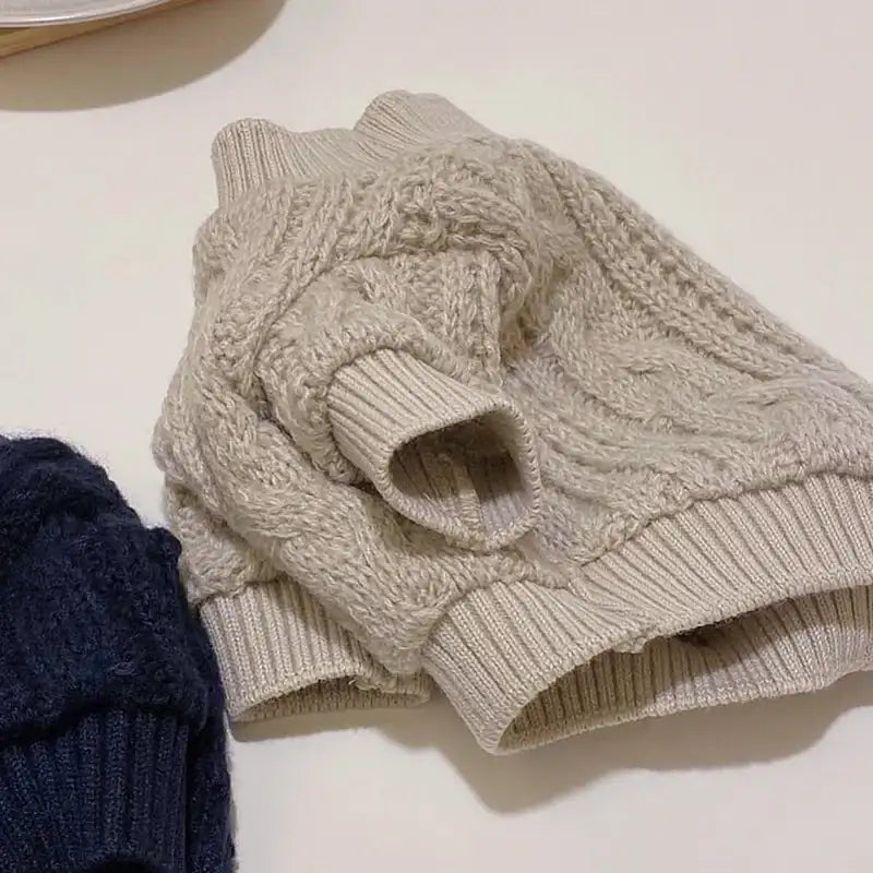 Pull Col Haut Pour Petit Chien Teckel