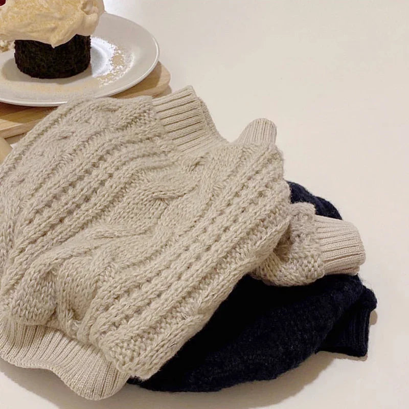 Pull Col Haut Pour Petit Chien Teckel