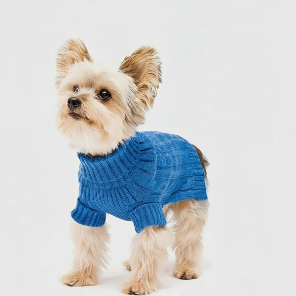 Pull Chaud Et Confortable Pour Petit Chien