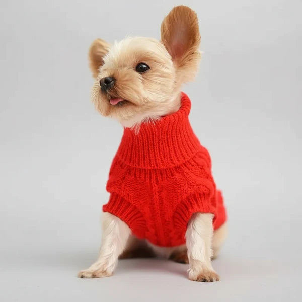 Pull Chaud Et Confortable Pour Petit Chien