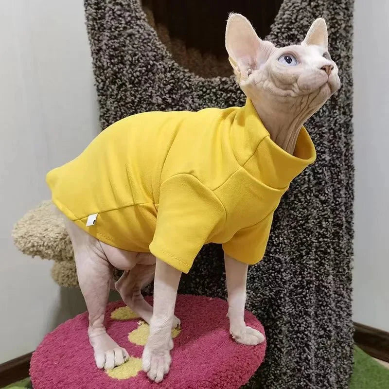Pull pour Sphynx Col roulé
