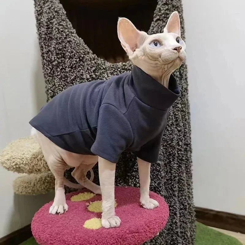 Pull pour Sphynx Col roulé