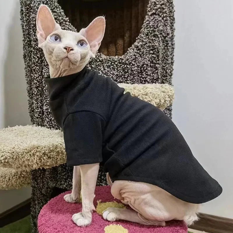 Pull pour Sphynx Col roulé