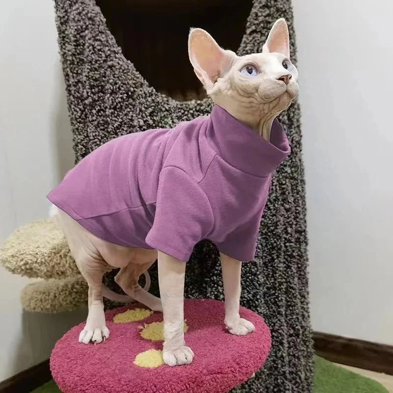 Pull pour Sphynx Col roulé