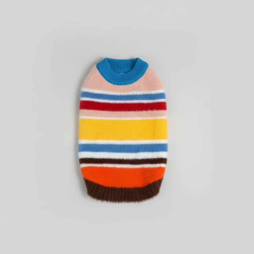 Pull pour teckel rayures arc en ciel en laine douce avec couleurs vives et joyeuses