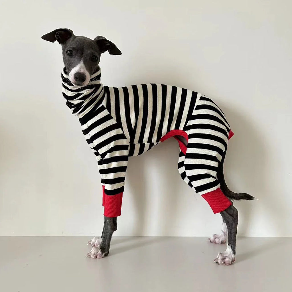 Chien portant un pull rayé pour chien noir et blanc avec détails rouges Oscar et Plume