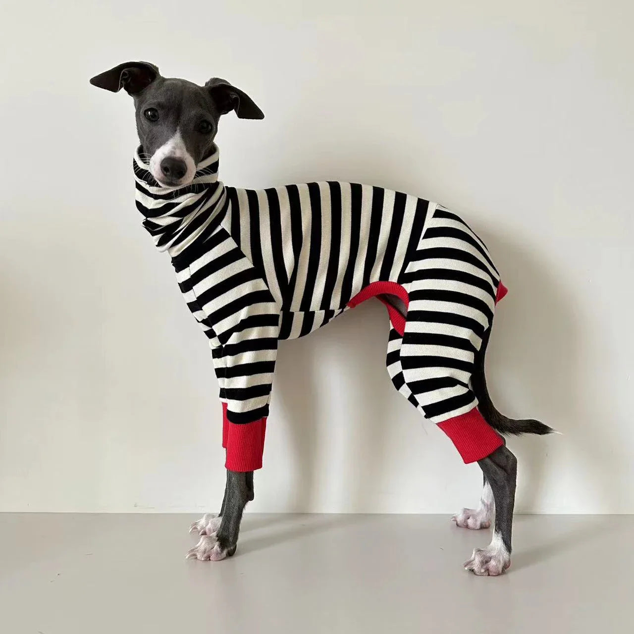 Chien portant un pull rayé pour chien noir et blanc avec détails rouges Oscar et Plume