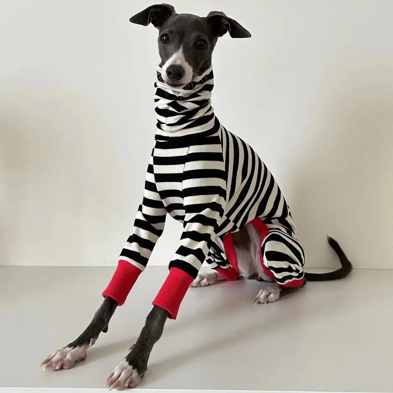 Pull rayé pour chien Oscar et Plume : chaleur douillette et allure chic