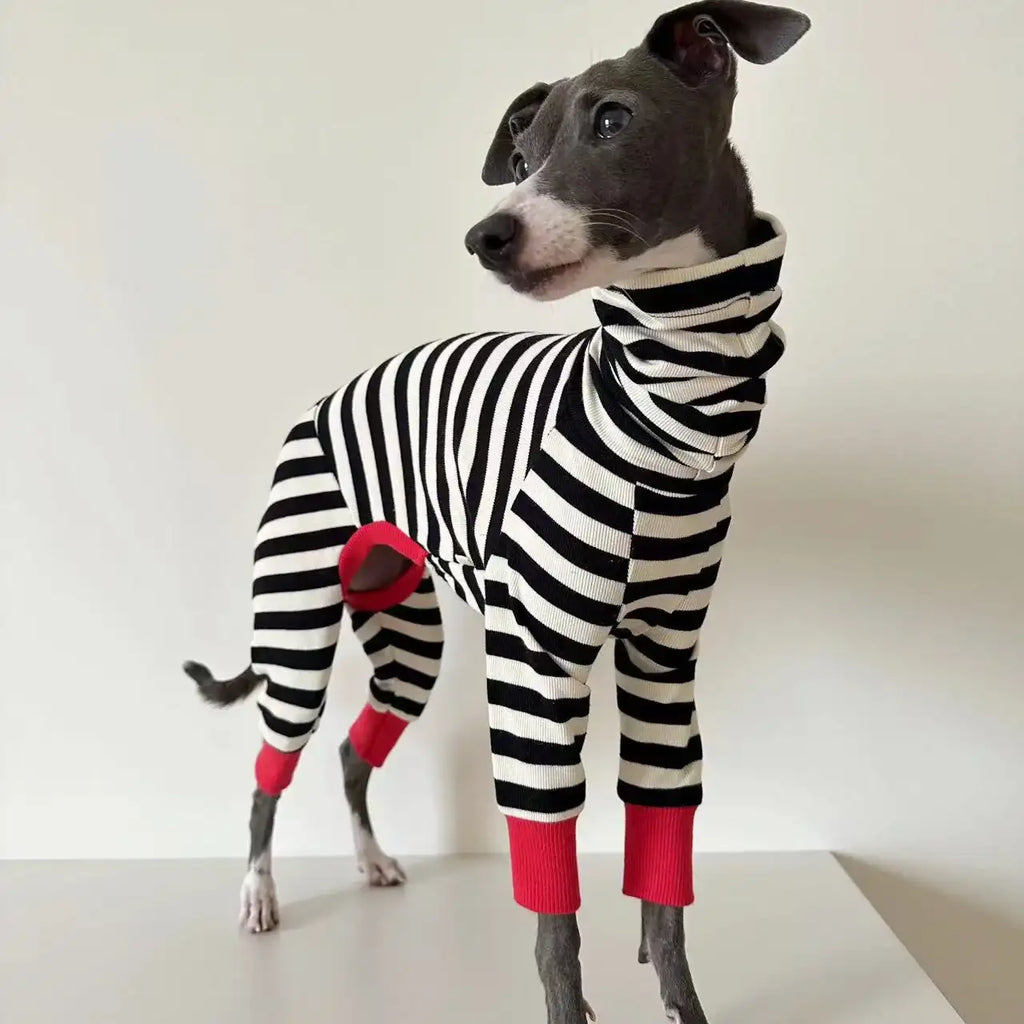 Pull rayé pour chien Oscar et Plume : chaleur douillette et allure chic