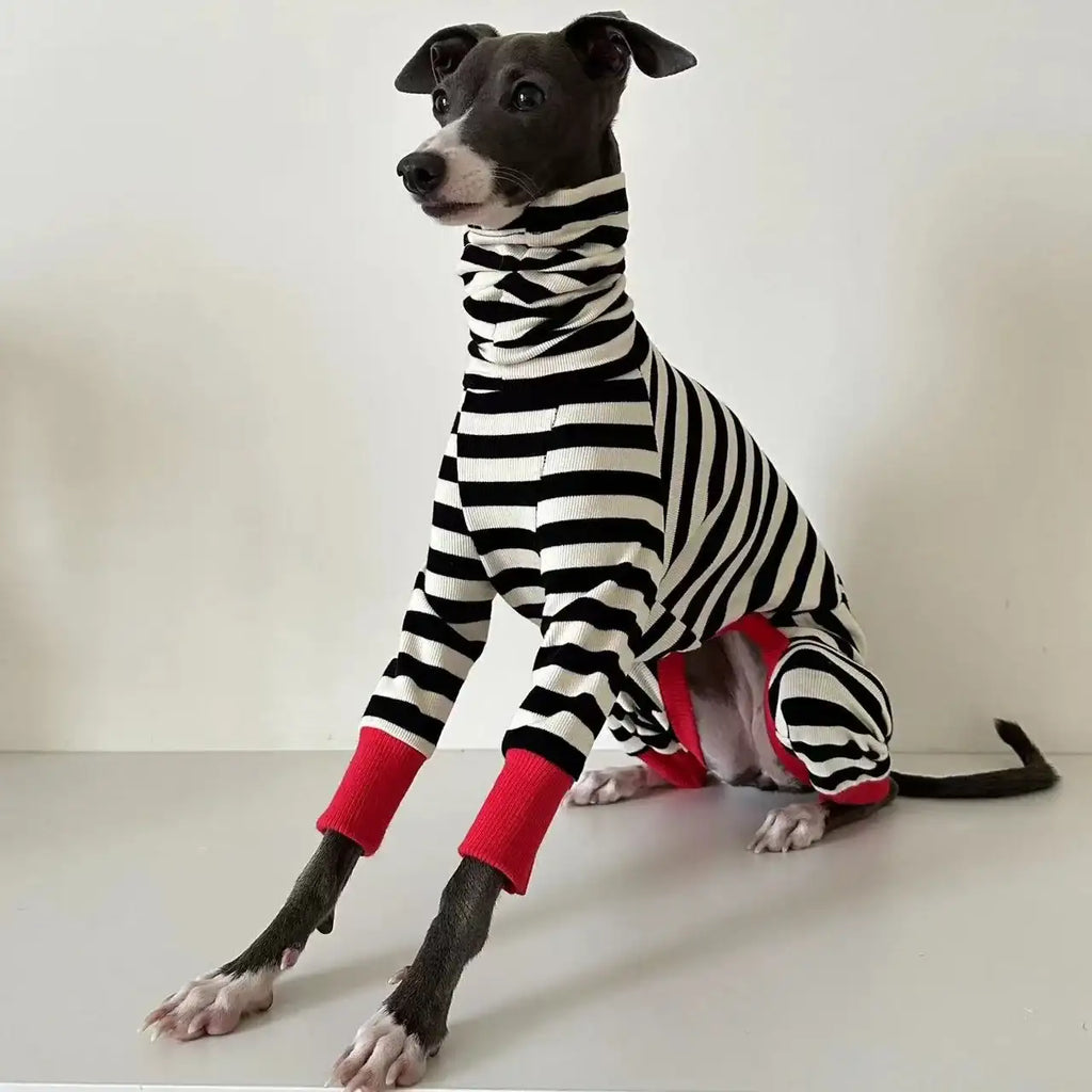 Pull rayé pour chien Oscar et Plume : chaleur douillette et allure chic