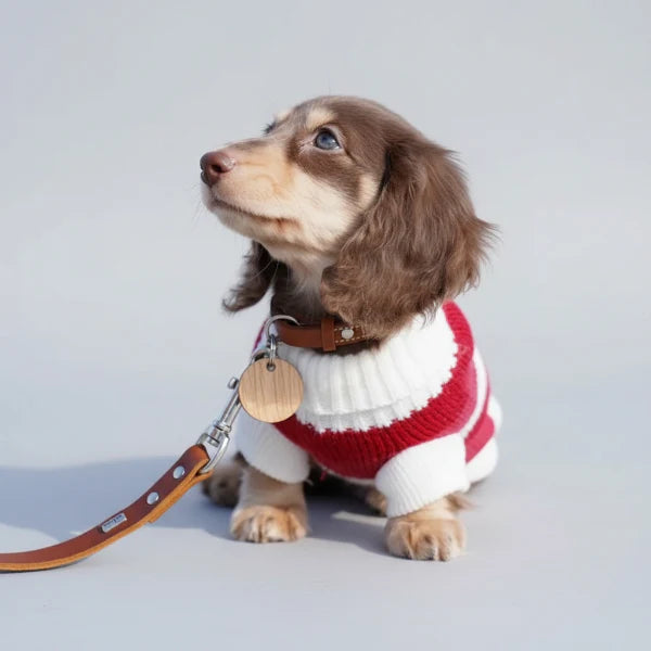 Pull Rouge Confortable De Noël Pour Teckel