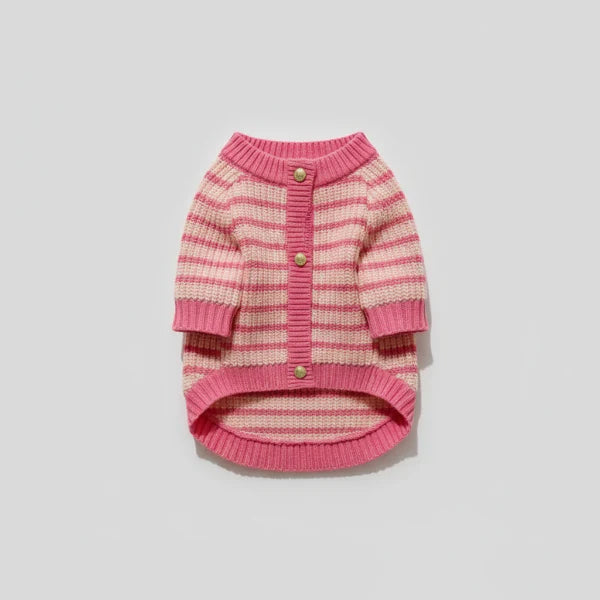Pull Rose Elégant Tricoté Pour Teckel