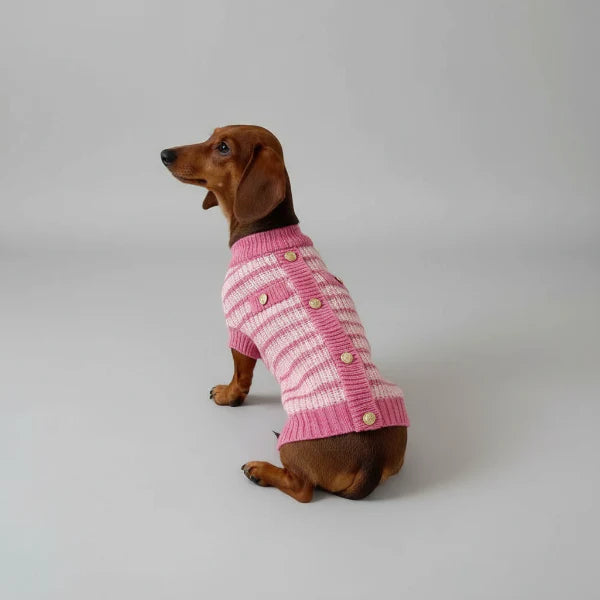 Pull Rose Elégant Tricoté Pour Teckel