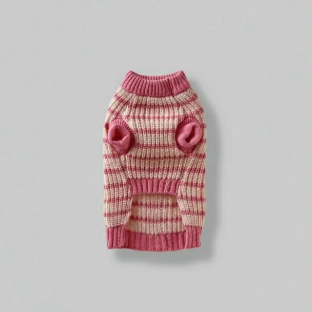 Pull Rose Elégant Tricoté Pour Teckel