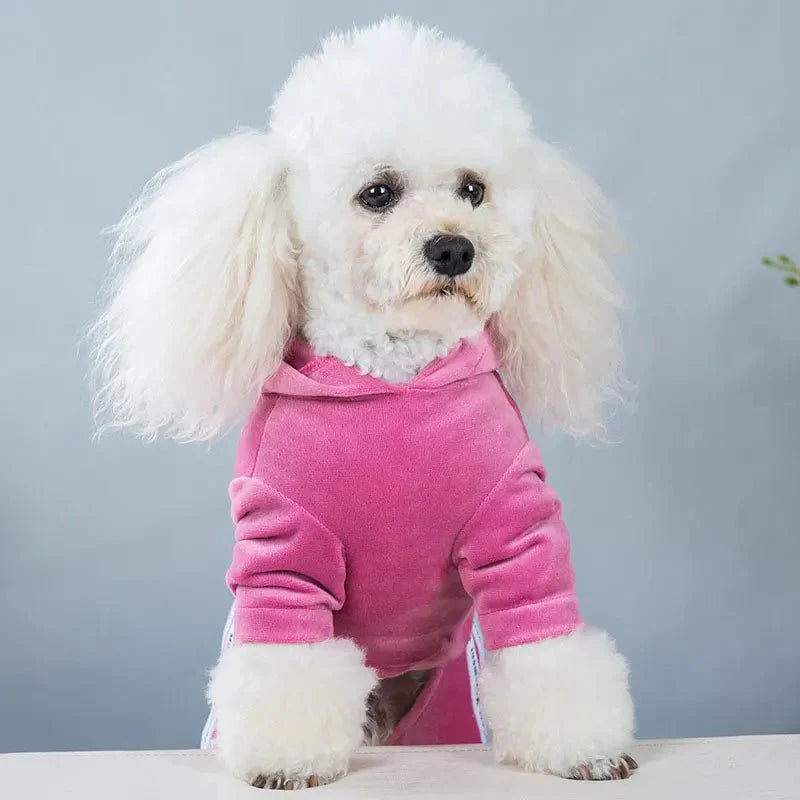 Pyjama Caniche Rose