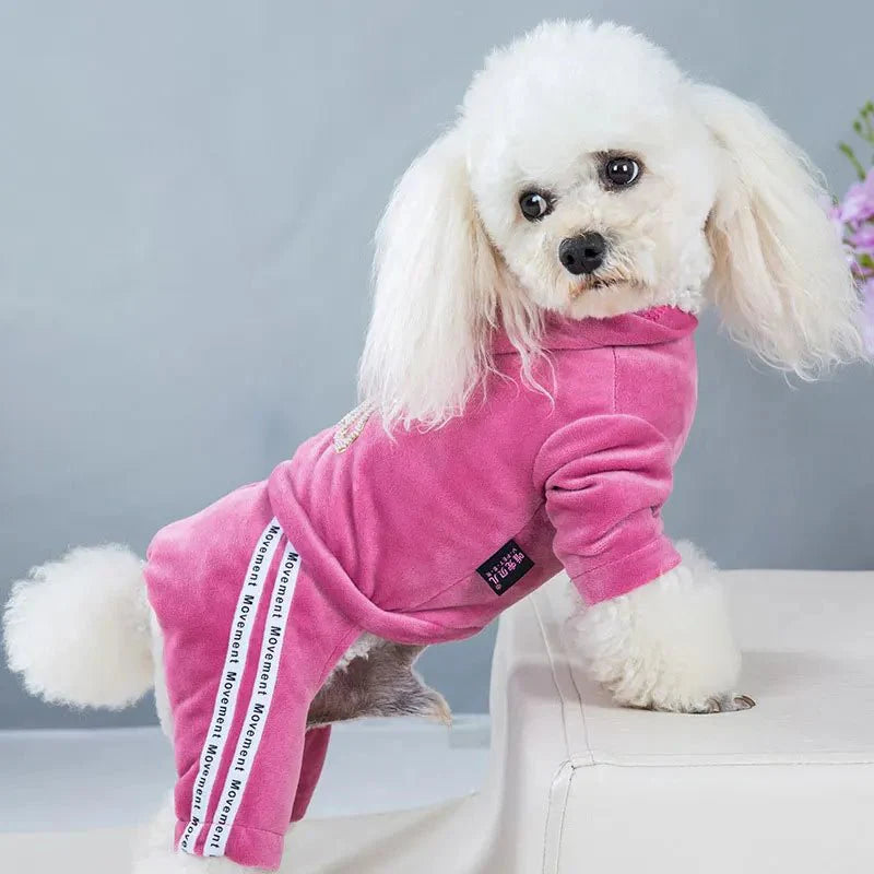 Pyjama Caniche Rose