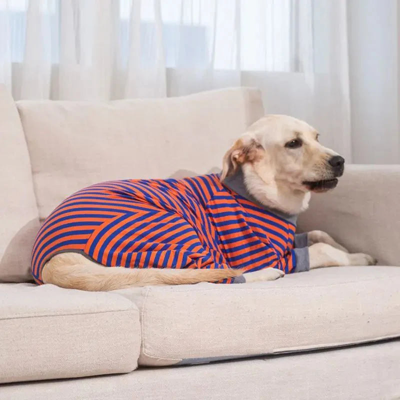Pyjama Grand Chien