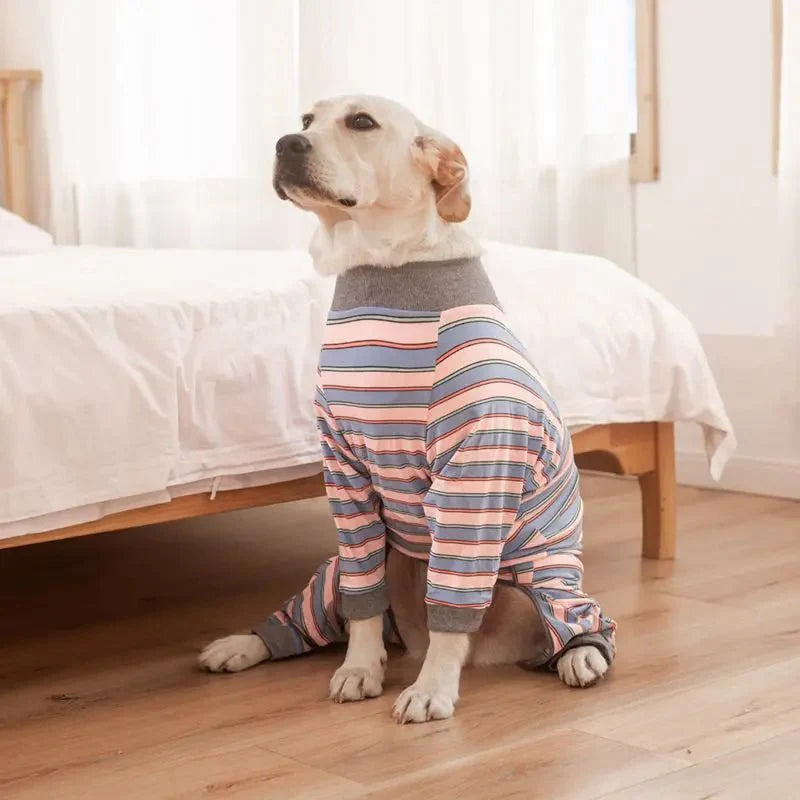 Pyjama Grand Chien