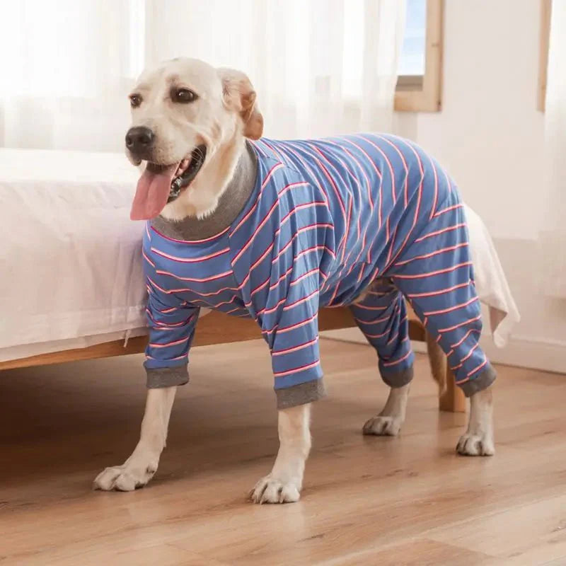 Pyjama Grand Chien
