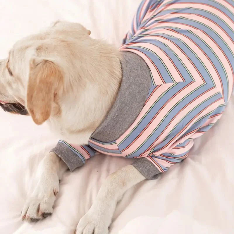 Pyjama Grand Chien