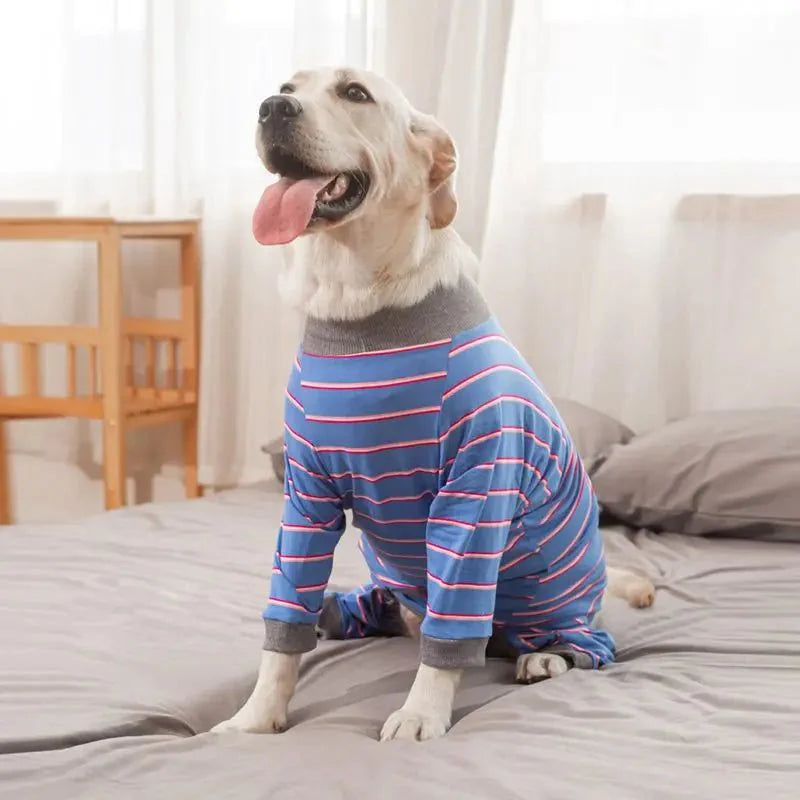 Pyjama Grand Chien