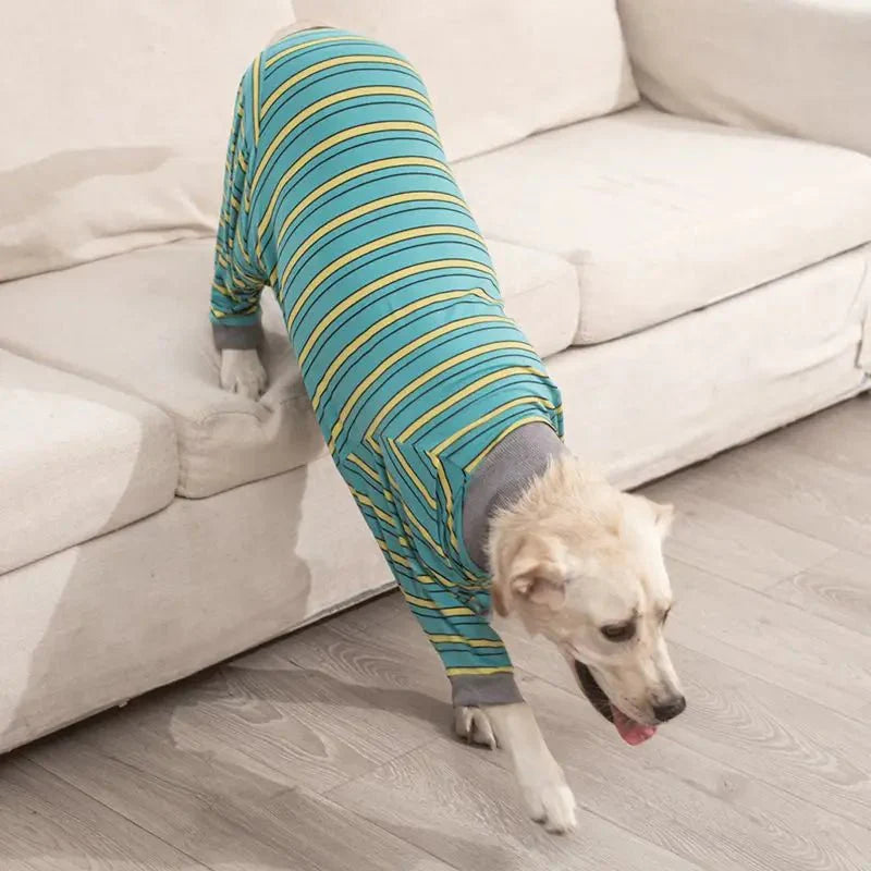 Pyjama Grand Chien