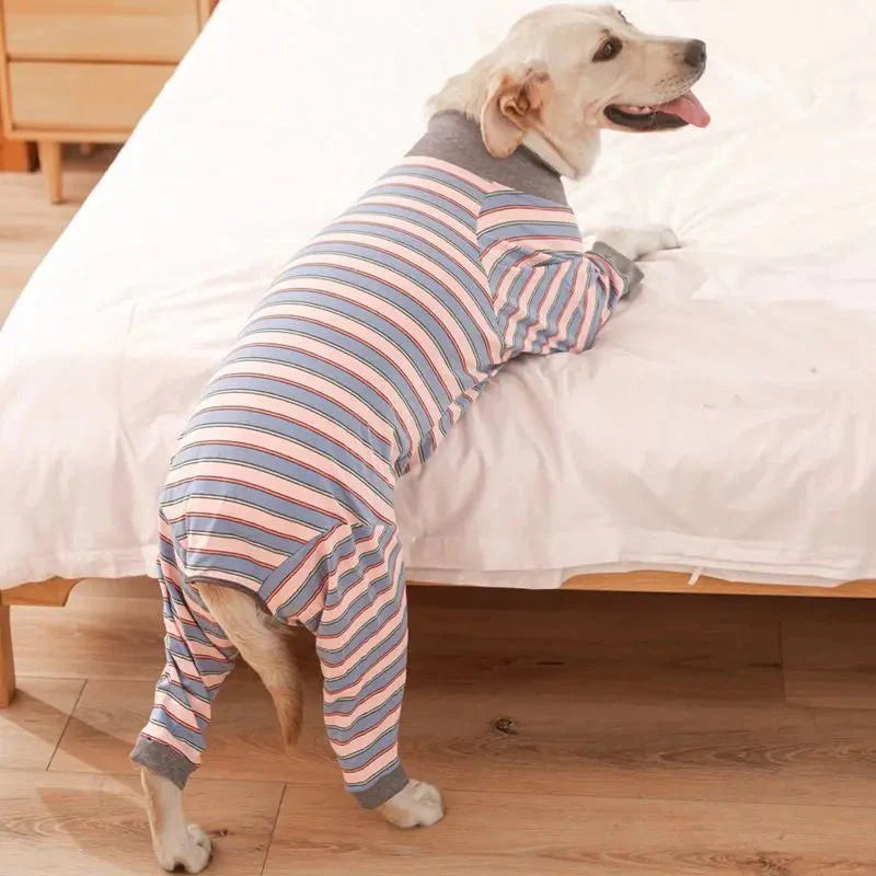 Pyjama Grand Chien
