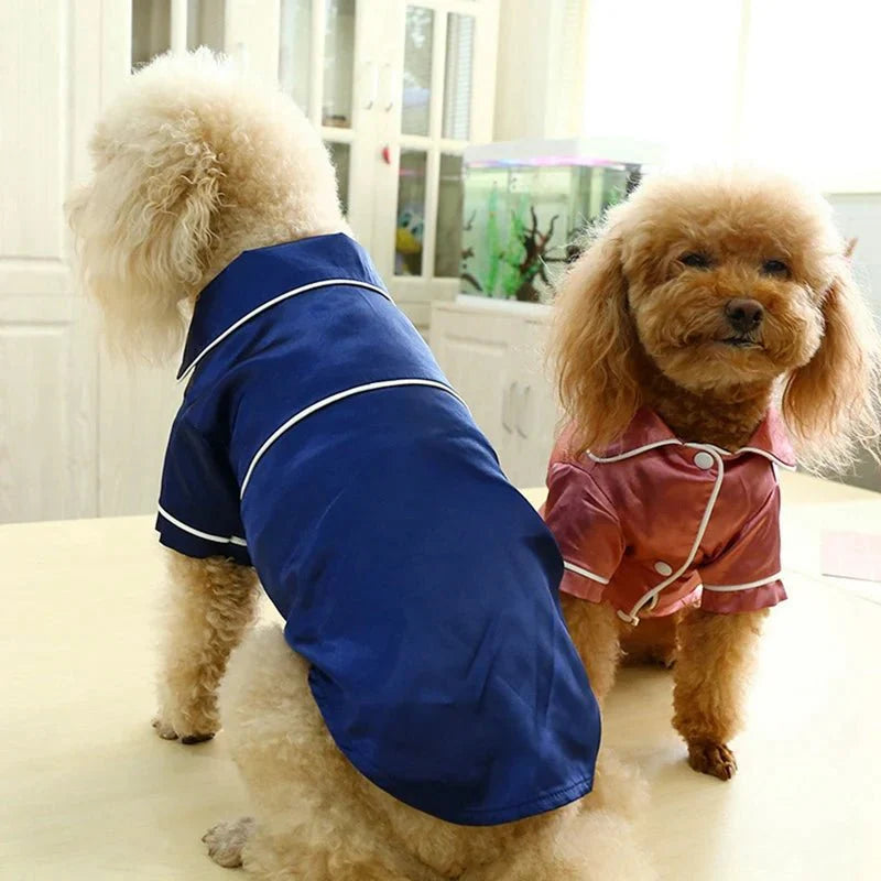 Pyjama Petit Chien