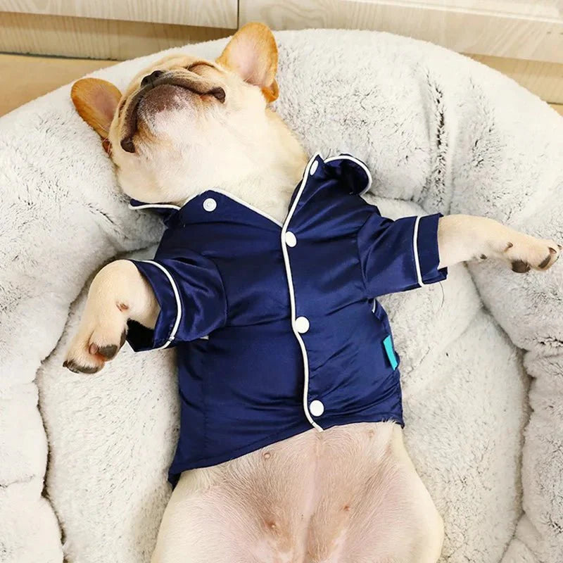 Pyjama Petit Chien