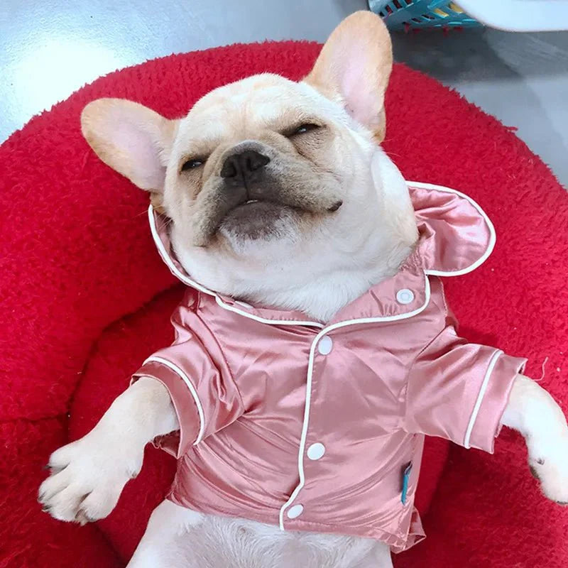 Pyjama Petit Chien