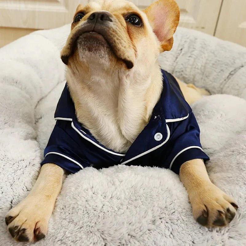 Pyjama Petit Chien