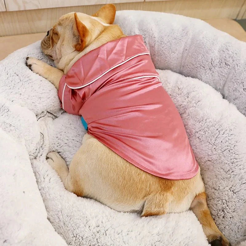 Pyjama Petit Chien