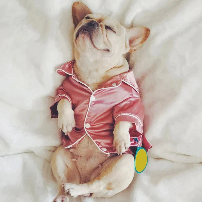 Pyjama Petit Chien