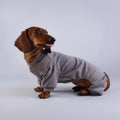 Pyjama polaire pour teckel en gris confortable et doux pour garder votre chien au chaud