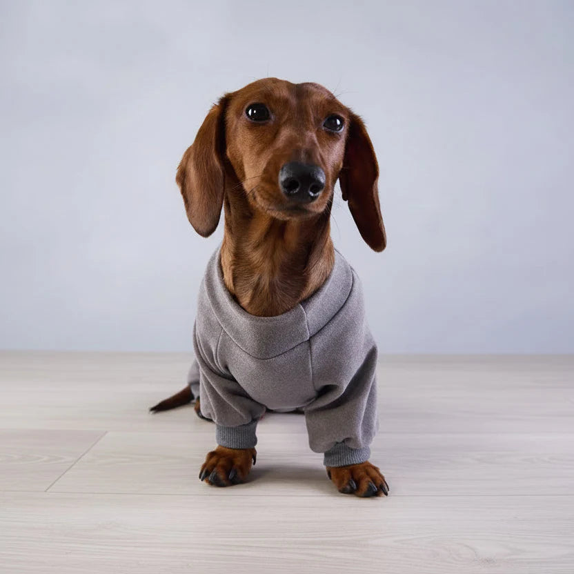 Pyjama Polaire Confort Pour Chien Teckel