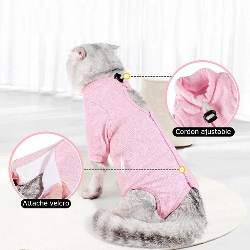 Pyjama pour Chat Après Opération