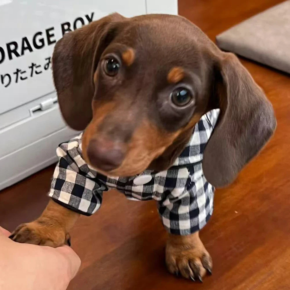 Chemise A Carreaux Pour Chien Teckel