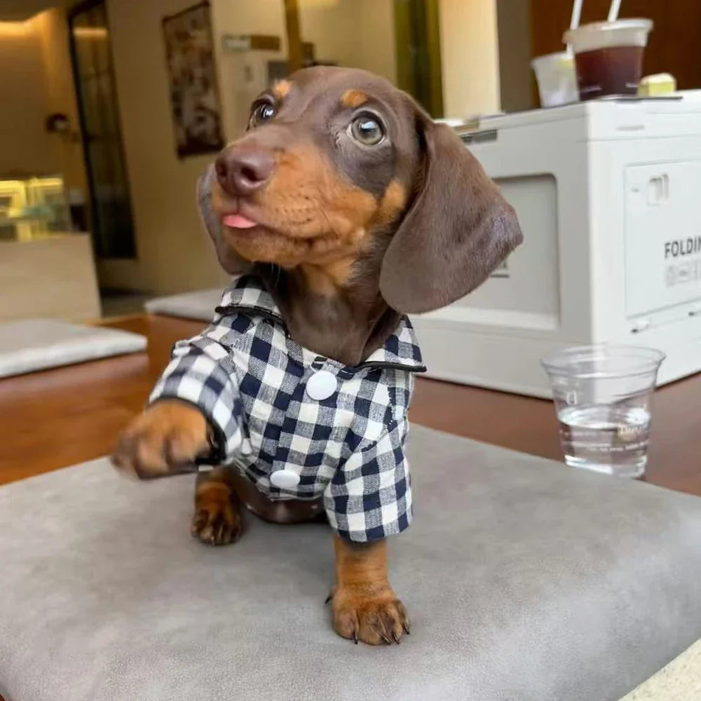 Chemise A Carreaux Pour Chien Teckel