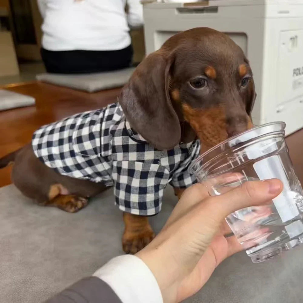 Chemise A Carreaux Pour Chien Teckel