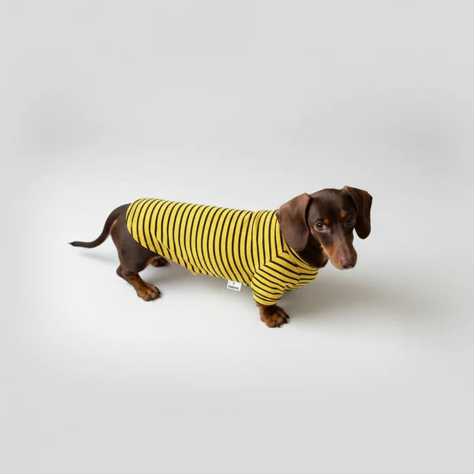 T-Shirt Teckel A Rayures Doux Et Confortable