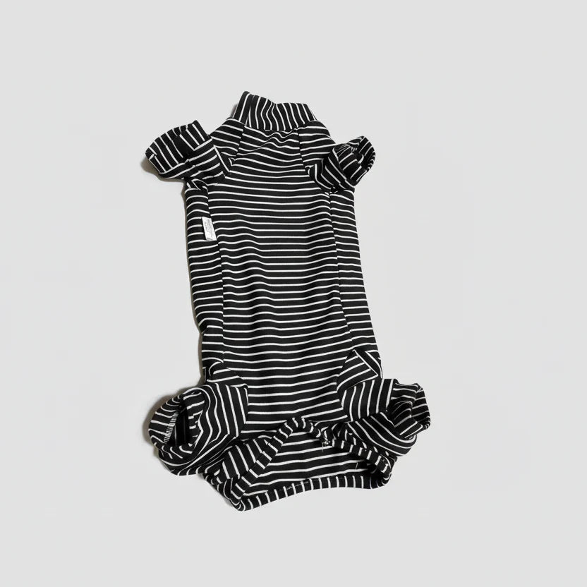 T Shirt Teckel À Rayures Doux Et Confortable - Les Bonnes Affaires