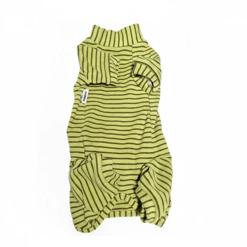 T Shirt Teckel À Rayures Doux Et Confortable - Les Bonnes Affaires