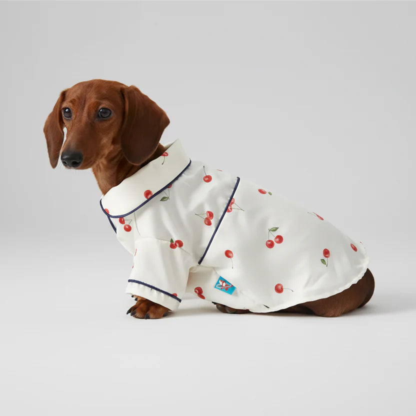 Pyjama Doux Et Confortable Pour Teckel