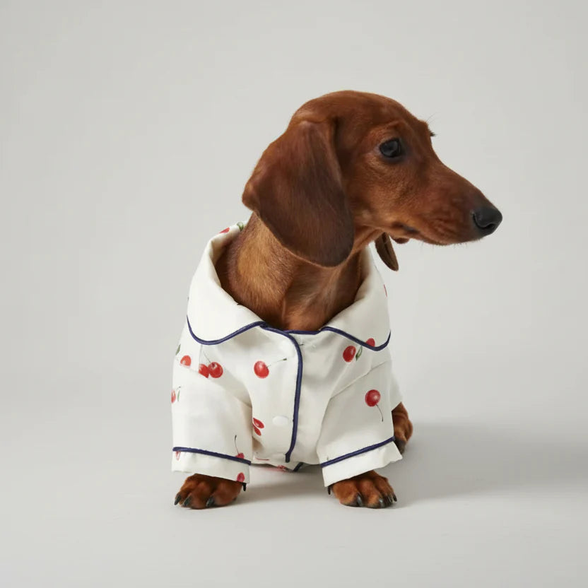 Pyjama pour teckel Oscar et Plume avec motif de cerises, idéal pour les nuits confortables
