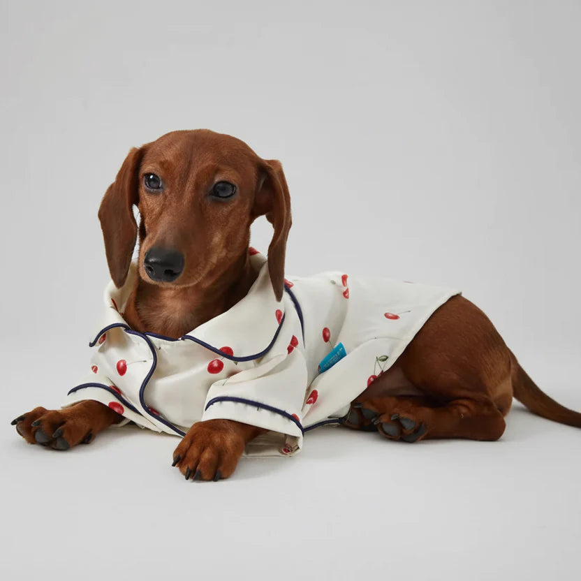 Pyjama Doux Et Confortable Pour Teckel