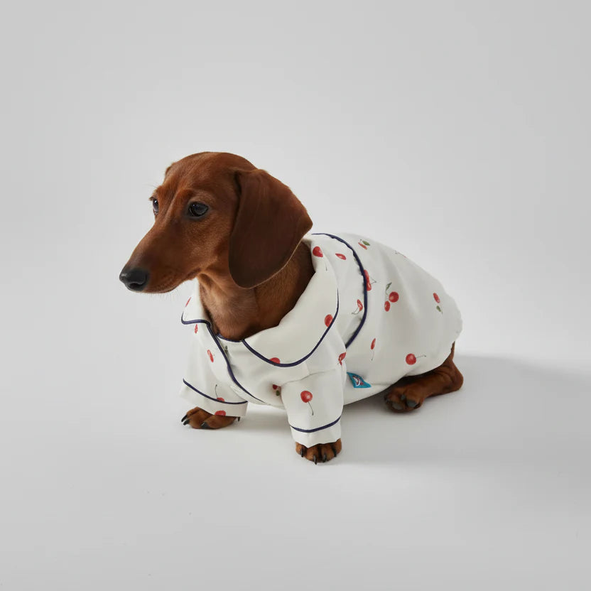 Pyjama Doux Et Confortable Pour Teckel